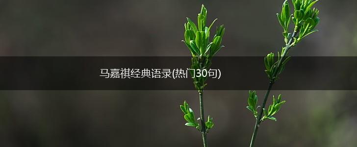 马嘉祺经典语录(热门30句),第1张