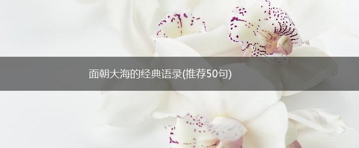 面朝大海的经典语录(推荐50句),第1张