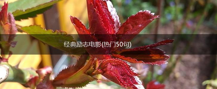 经典励志电影(热门50句),第1张