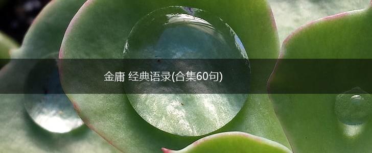 金庸 经典语录(合集60句),第1张