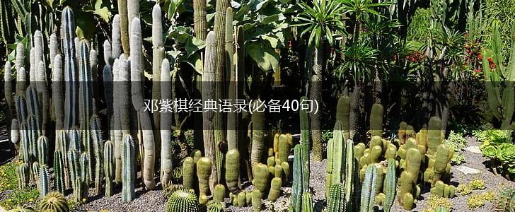 邓紫棋经典语录(必备40句),第1张