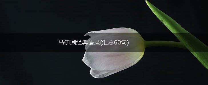 马伊琍经典语录(汇总60句),第1张