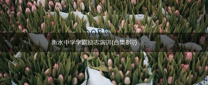 衡水中学学霸励志演讲(合集8句),第1张
