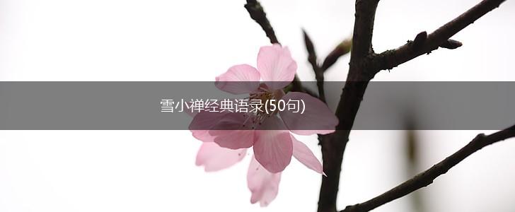 雪小禅经典语录(50句),第1张