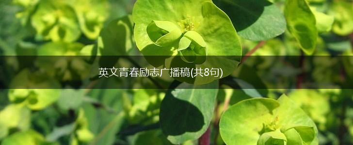 英文青春励志广播稿(共8句),第1张