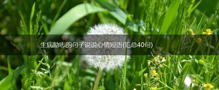 生病励志的句子说说心情短语(汇总40句),第1张