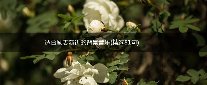 适合励志演讲的背景音乐(精选81句),第1张