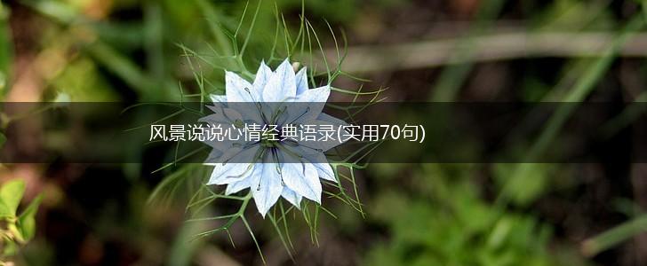 风景说说心情经典语录(实用70句),第1张