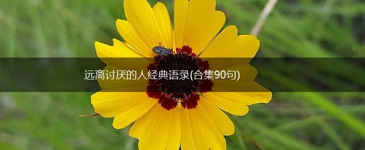远离讨厌的人经典语录(合集90句),第1张