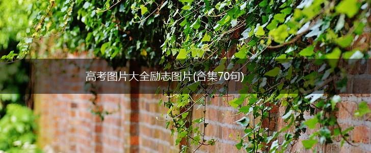 高考图片大全励志图片(合集70句),第1张
