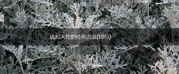 钱和人性的经典语录(50句),第1张
