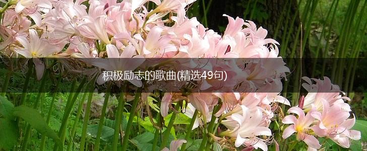 积极励志的歌曲(精选49句),第1张 积极励志的歌曲(精选49句),第1张