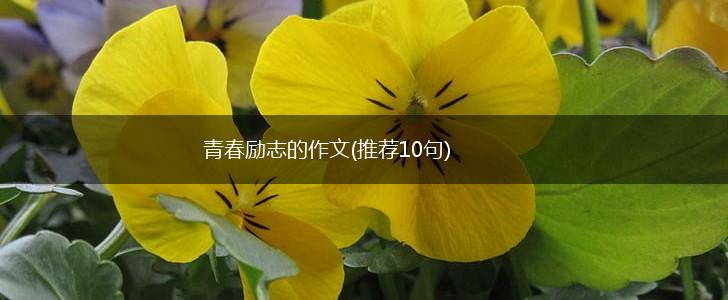 青春励志的作文(推荐10句),第1张