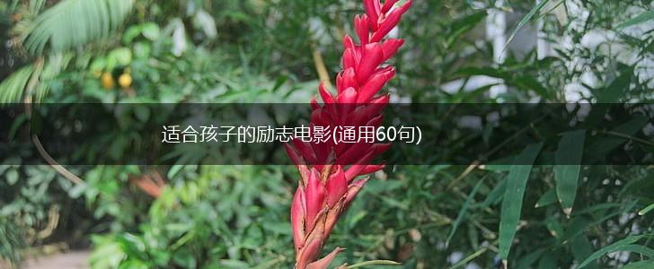 适合孩子的励志电影(通用60句),第1张