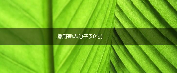 撒野励志句子(50句),第1张