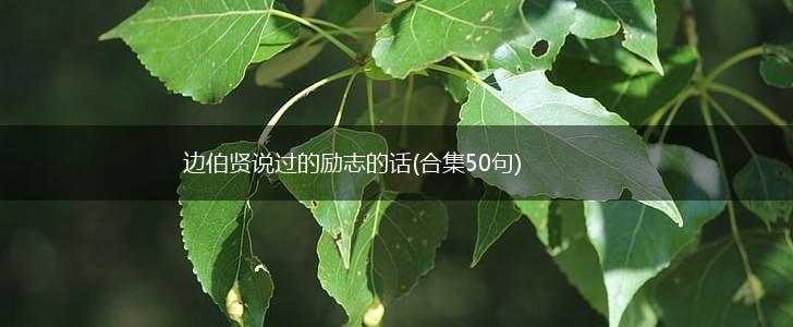 边伯贤说过的励志的话(合集50句),第1张