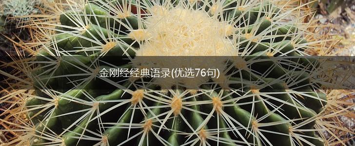 金刚经经典语录(优选76句),第1张 金刚经经典语录(优选76句),第1张