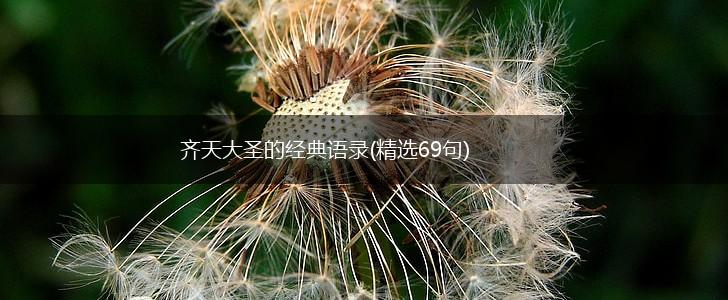 齐天大圣的经典语录(精选69句),第1张