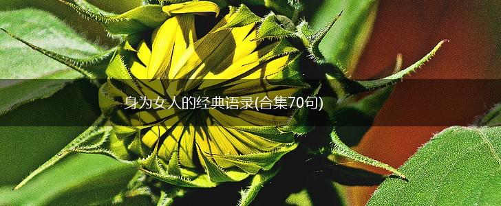 身为女人的经典语录(合集70句),第1张