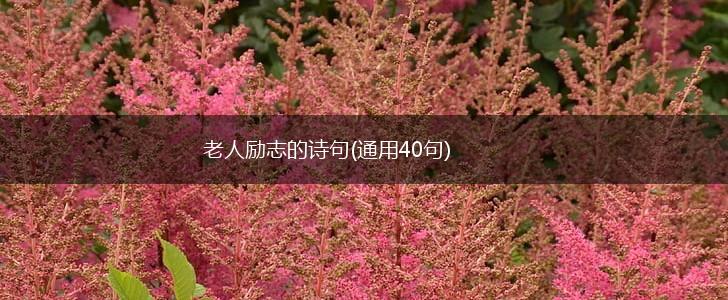老人励志的诗句(通用40句),第1张 老人励志的诗句(通用40句),第1张