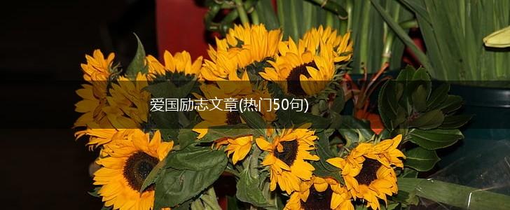 爱国励志文章(热门50句),第1张