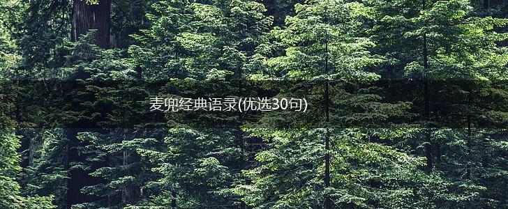 麦兜经典语录(优选30句),第1张