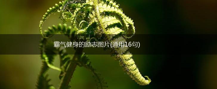 霸气健身的励志图片(通用16句),第1张