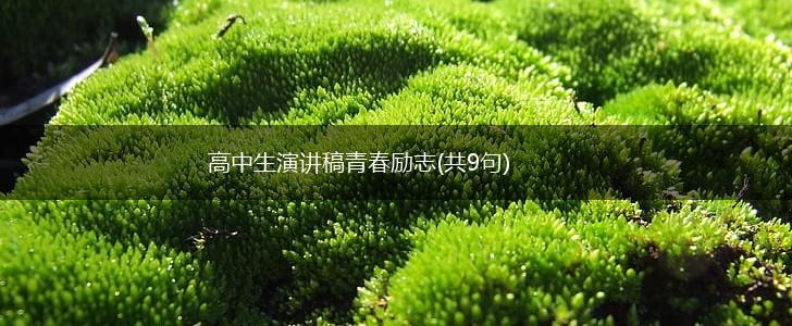 高中生演讲稿青春励志(共9句),第1张