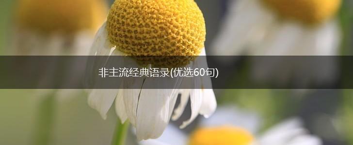 非主流经典语录(优选60句),第1张
