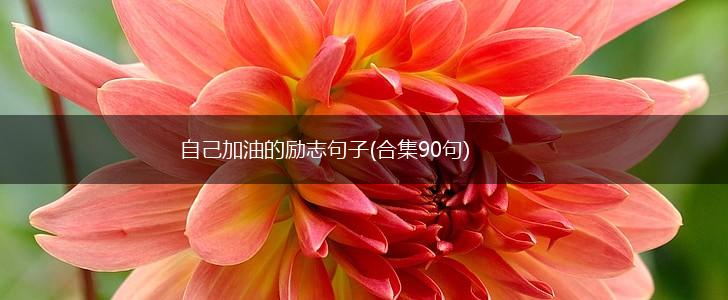 自己加油的励志句子(合集90句),第1张 自己加油的励志句子(合集90句),第1张