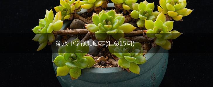 衡水中学视频励志(汇总15句),第1张