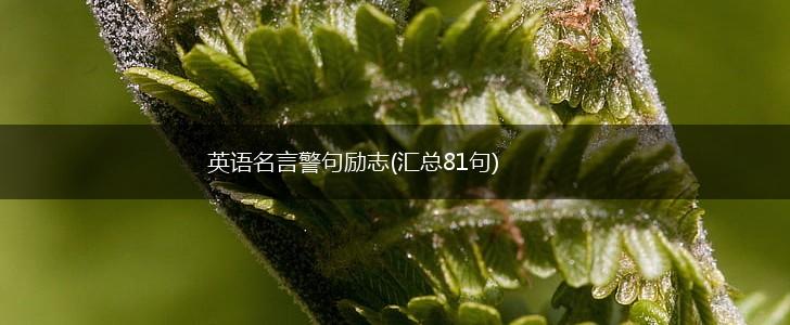 英语名言警句励志(汇总81句),第1张