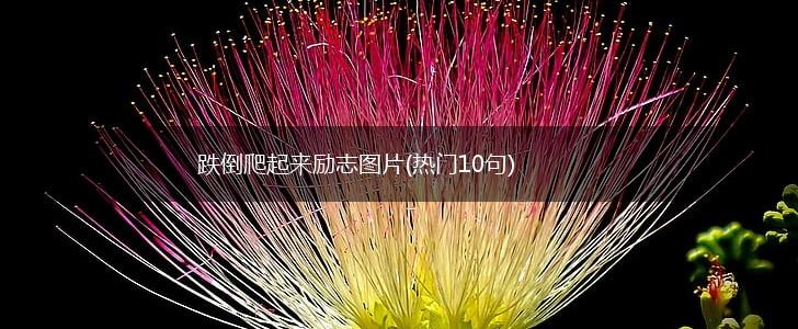 跌倒爬起来励志图片(热门10句),第1张