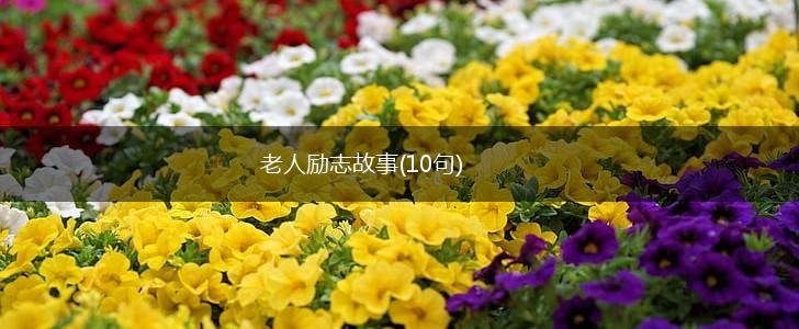 老人励志故事(10句),第1张