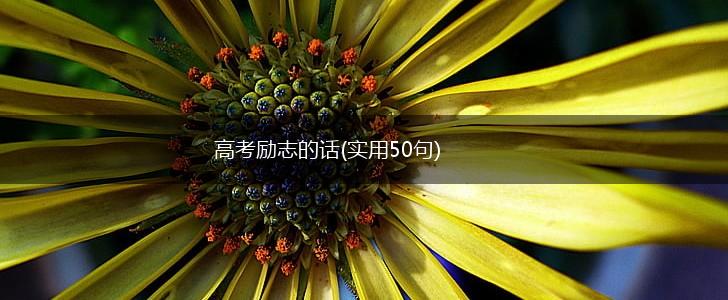 高考励志的话(实用50句),第1张