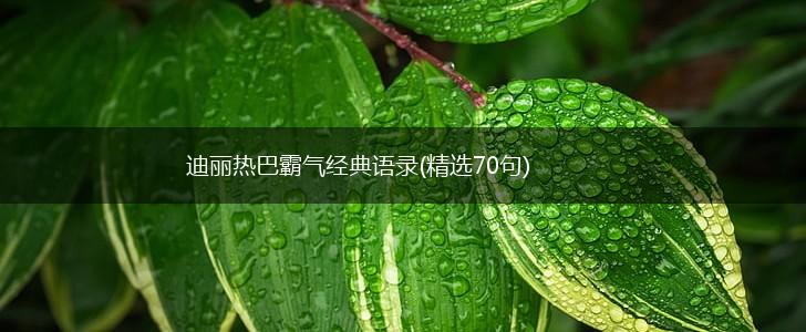 迪丽热巴霸气经典语录(精选70句),第1张