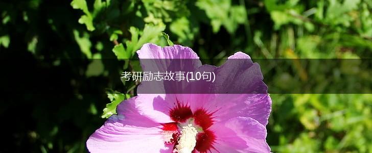 考研励志故事(10句),第1张 考研励志故事(10句),第1张