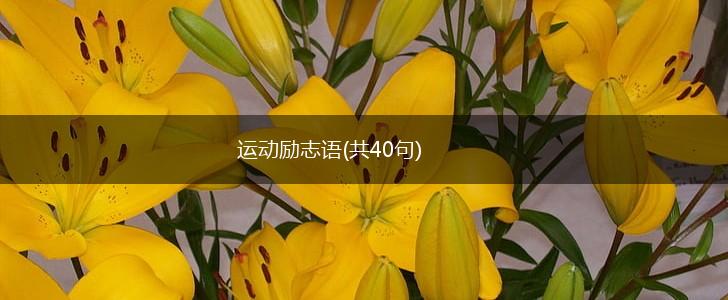 运动励志语(共40句),第1张