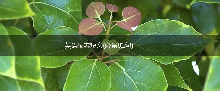 英语励志短文(必备81句),第1张