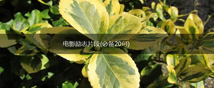 电影励志片段(必备20句),第1张