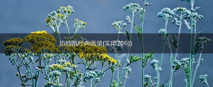 迈特凯经典语录(实用20句),第1张