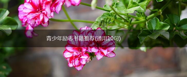青少年励志书籍推荐(通用10句),第1张
