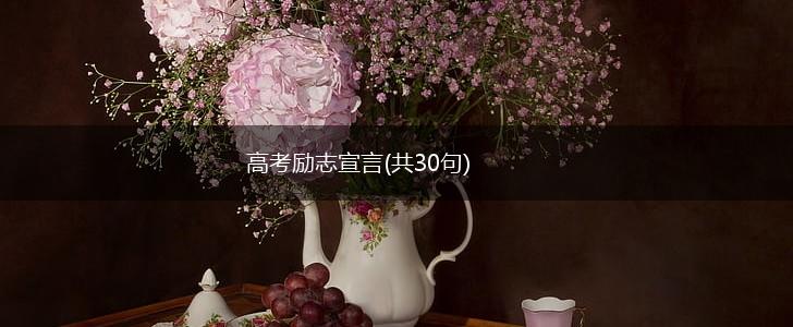 高考励志宣言(共30句),第1张