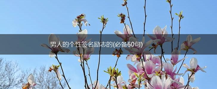 男人的个性签名励志的(必备60句),第1张