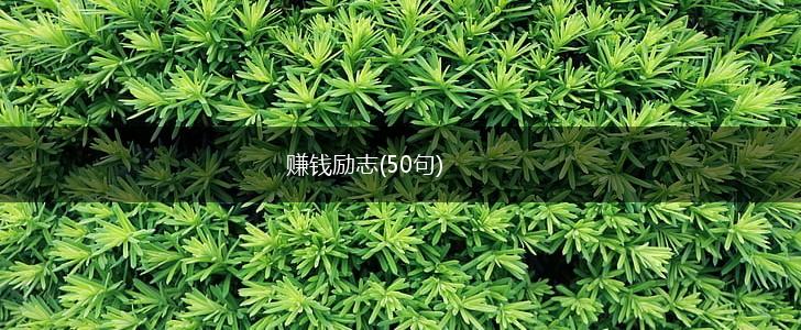 赚钱励志(50句),第1张