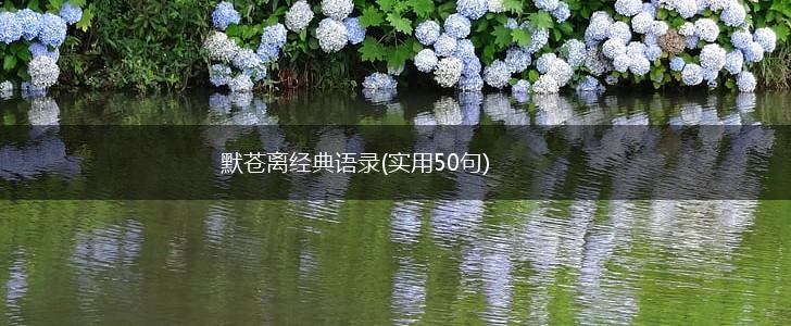 默苍离经典语录(实用50句),第1张