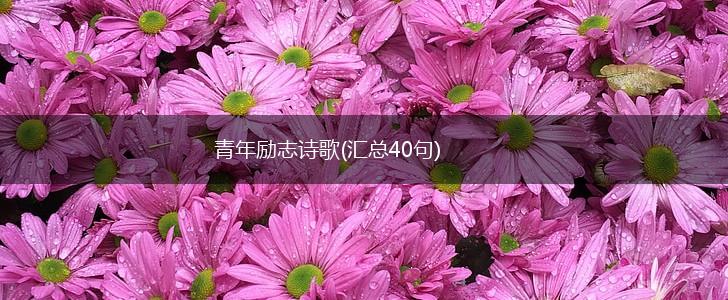 青年励志诗歌(汇总40句),第1张