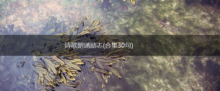 诗歌朗诵励志(合集30句),第1张