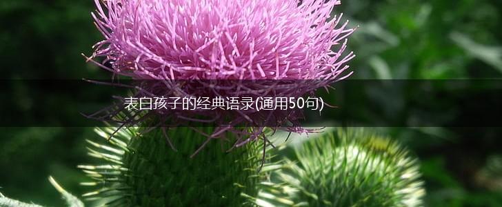 表白孩子的经典语录(通用50句),第1张