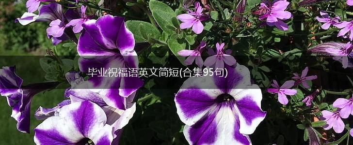 毕业祝福语英文简短(合集95句),第1张